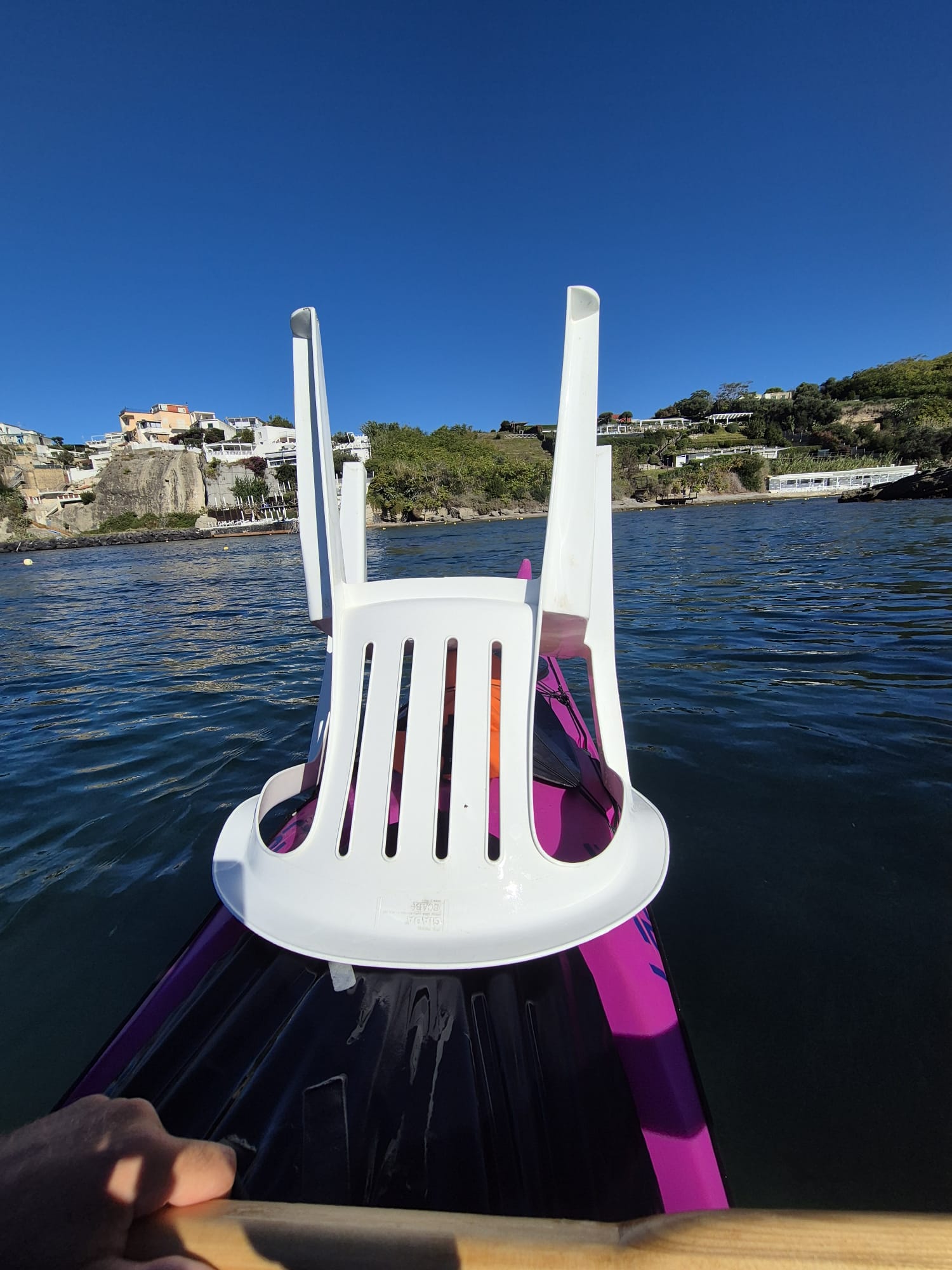 Monitoraggio Posidonia