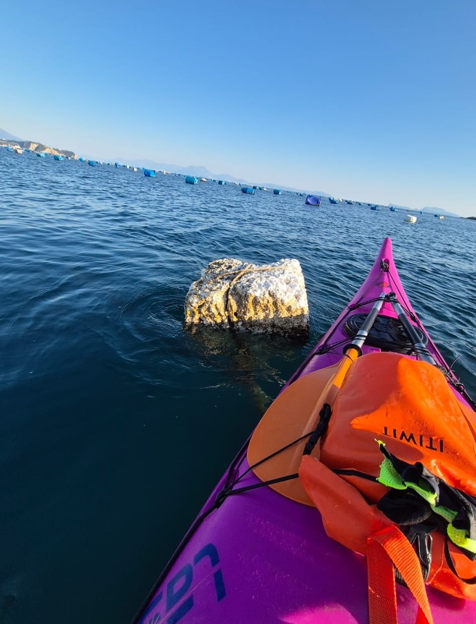 Educazione ambientale